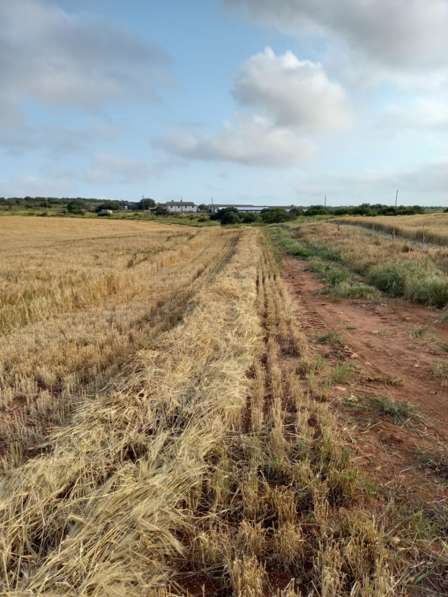  Bedroom Property for Sale in Riversdale Rural Western Cape